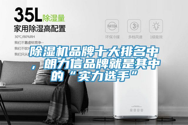 小黄片直播视频品牌十大排名中，朗力信品牌就是其中的“实力选手”