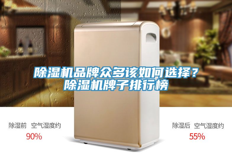 小黄片直播视频品牌众多该如何选择？小黄片直播视频牌子排行榜