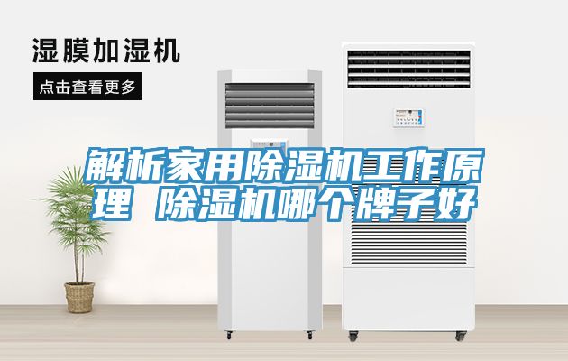 解析家用小黄片直播视频工作原理 小黄片直播视频哪个牌子好
