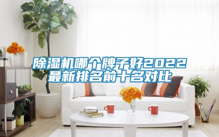 小黄片直播视频哪个牌子好2022最新排名前十名对比