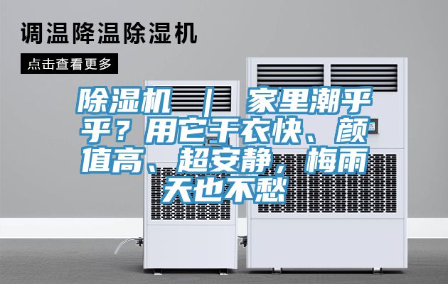 小黄片直播视频 ｜ 家里潮乎乎？用它干衣快、颜值高、超安静，梅雨天也不愁
