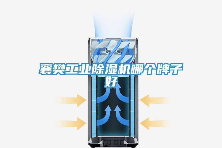 襄樊工业小黄片直播视频哪个牌子好