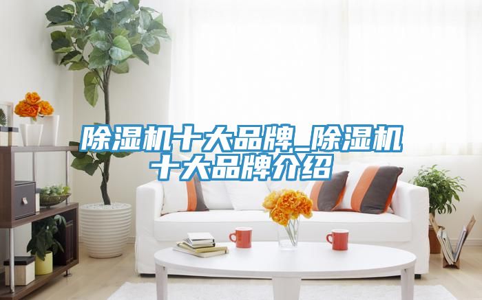 小黄片直播视频十大品牌_小黄片直播视频十大品牌介绍