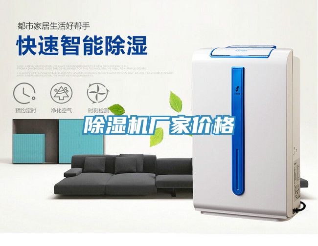 小黄片直播视频厂家价格