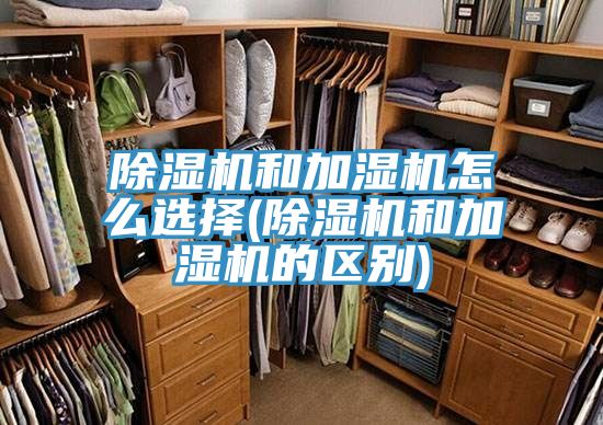 小黄片直播视频和加湿机怎么选择(小黄片直播视频和加湿机的区别)