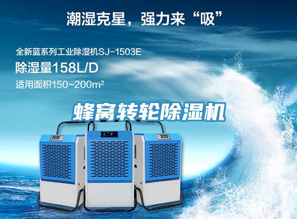 蜂窝转轮小黄片直播视频