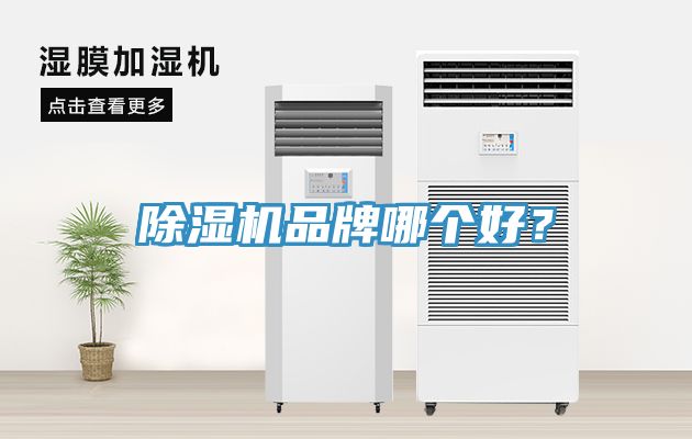 小黄片直播视频品牌哪个好？