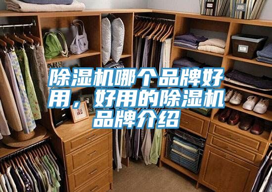小黄片直播视频哪个品牌好用，好用的小黄片直播视频品牌介绍