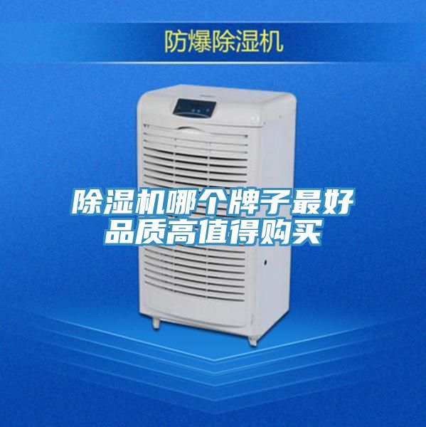 小黄片直播视频哪个牌子最好品质高值得购买