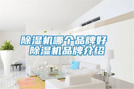 小黄片直播视频哪个品牌好 小黄片直播视频品牌介绍