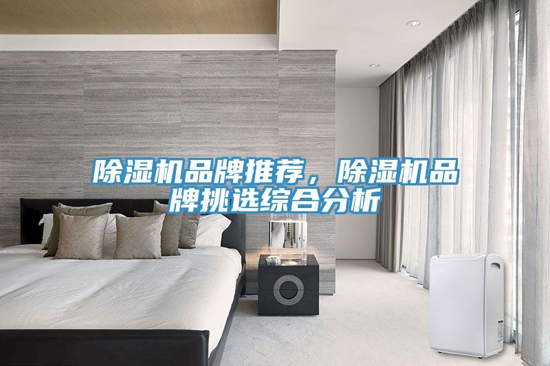 小黄片直播视频品牌推荐，小黄片直播视频品牌挑选综合分析