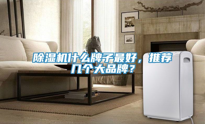 小黄片直播视频什么牌子最好，推荐几个大品牌？