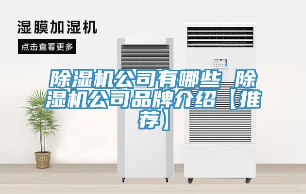 小黄片直播视频公司有哪些 小黄片直播视频公司品牌介绍【推荐】