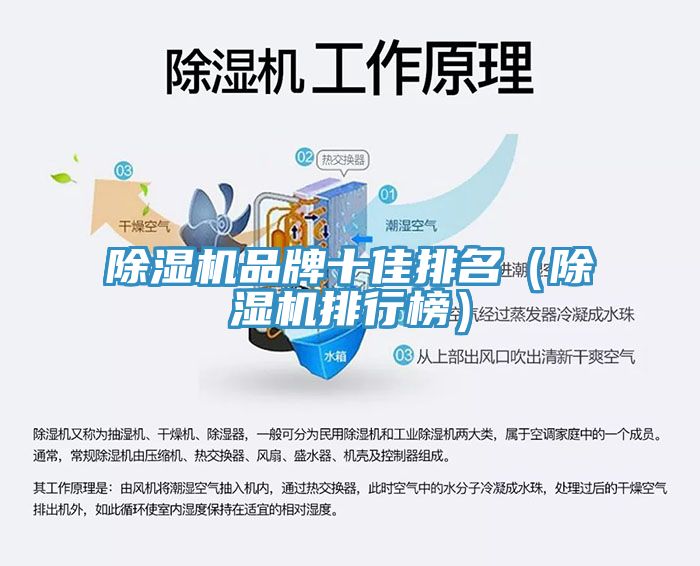 小黄片直播视频品牌十佳排名（小黄片直播视频排行榜）