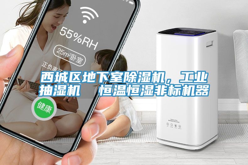 西城区地下室小黄片直播视频，工业抽湿机  恒温恒湿非标机器