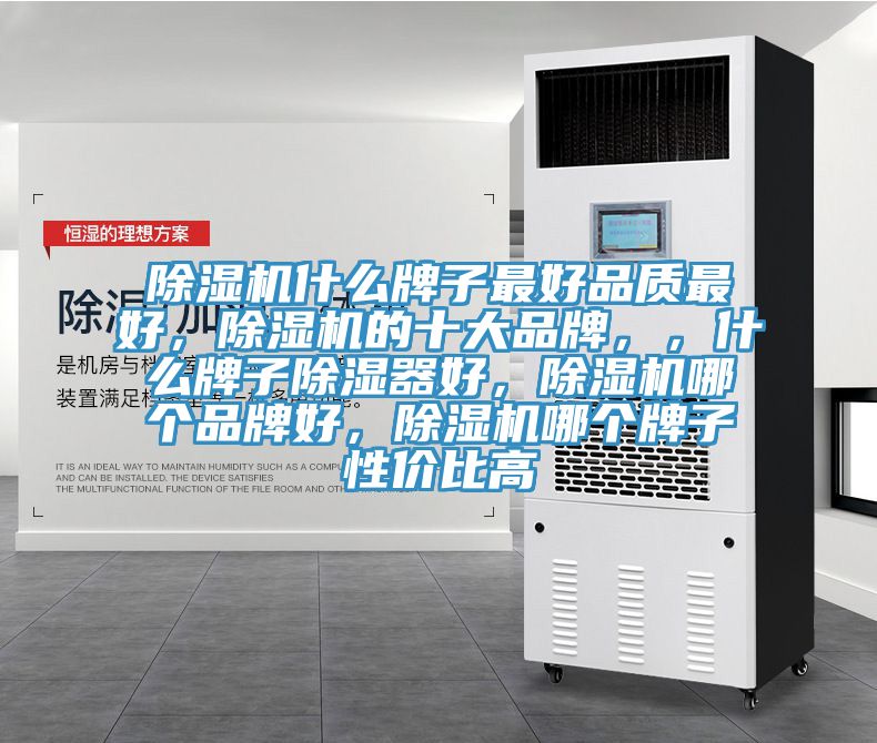 小黄片直播视频什么牌子最好品质最好，小黄片直播视频的十大品牌，，什么牌子除湿器好，小黄片直播视频哪个品牌好，小黄片直播视频哪个牌子性价比高