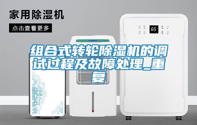 组合式转轮小黄片直播视频的调试过程及故障处理_重复