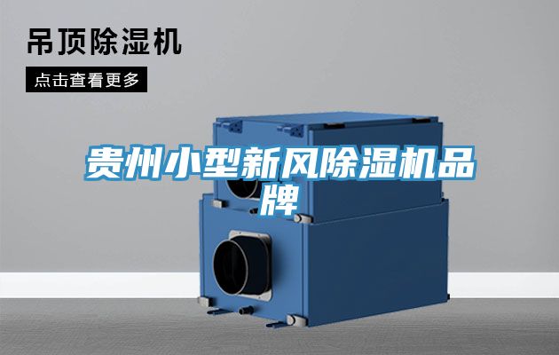 贵州小型新风小黄片直播视频品牌