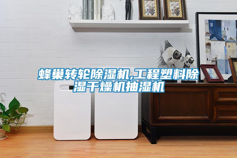 蜂巢转轮小黄片直播视频,工程塑料除湿干燥机抽湿机