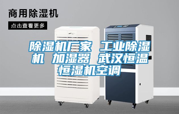 小黄片直播视频厂家 工业小黄片直播视频 加湿器 武汉恒温恒湿机空调