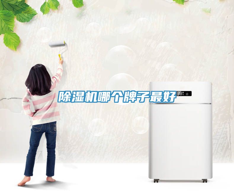 小黄片直播视频哪个牌子最好