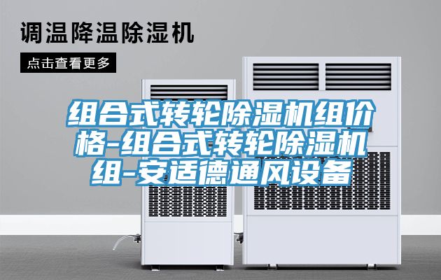 组合式转轮小黄片直播视频组价格-组合式转轮小黄片直播视频组-安适德通风设备