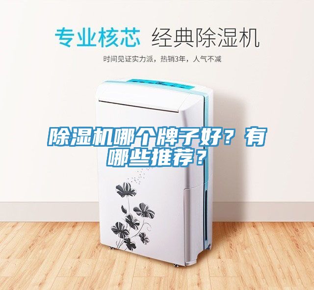 小黄片直播视频哪个牌子好？有哪些推荐？