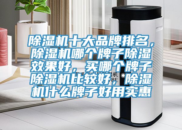 小黄片直播视频十大品牌排名，小黄片直播视频哪个牌子除湿效果好，买哪个牌子小黄片直播视频比较好，小黄片直播视频什么牌子好用实惠