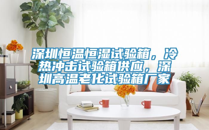 深圳恒温恒湿试验箱，冷热冲击试验箱供应，深圳高温老化试验箱厂家