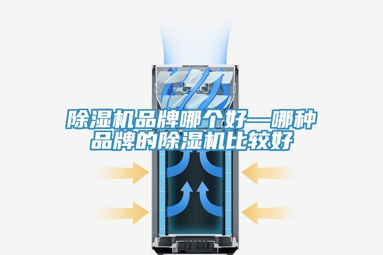 小黄片直播视频品牌哪个好—哪种品牌的小黄片直播视频比较好