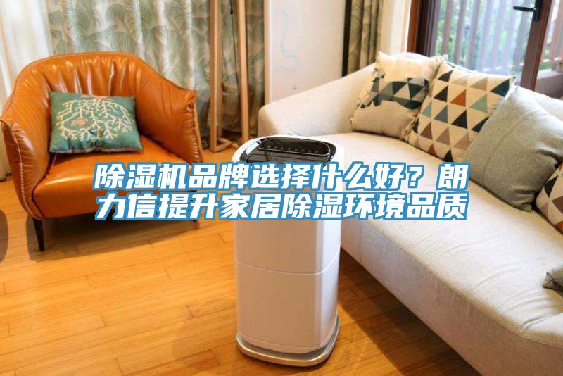 小黄片直播视频品牌选择什么好？朗力信提升家居除湿环境品质