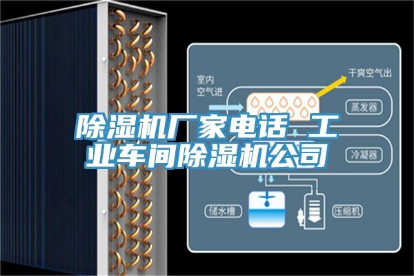 小黄片直播视频厂家电话 工业车间小黄片直播视频公司