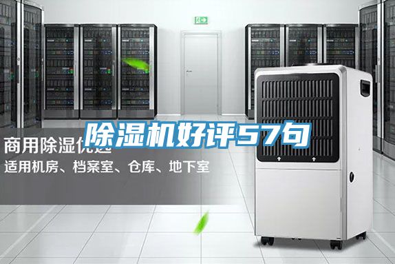 小黄片直播视频好评57句