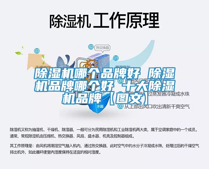 小黄片直播视频哪个品牌好 小黄片直播视频品牌哪个好 十大小黄片直播视频品牌【图文】