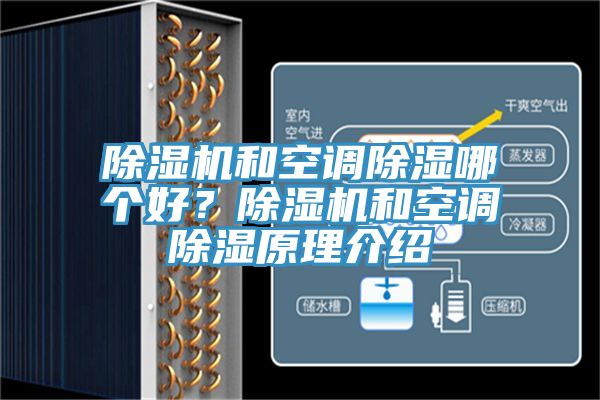 小黄片直播视频和空调除湿哪个好？小黄片直播视频和空调除湿原理介绍