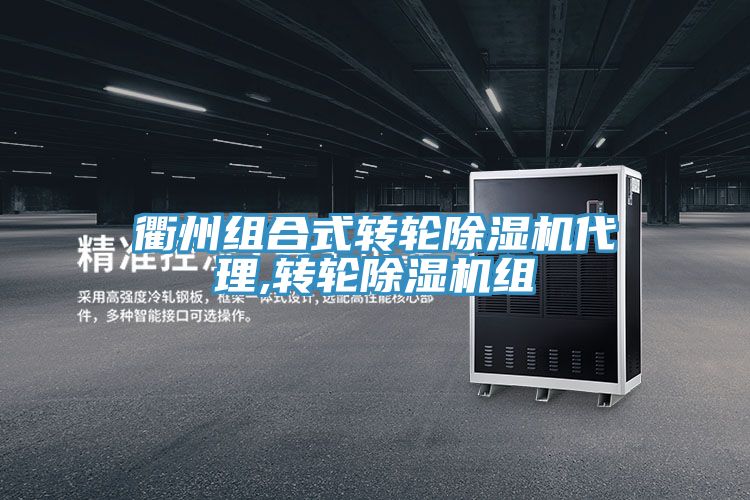 衢州组合式转轮小黄片直播视频代理,转轮小黄片直播视频组