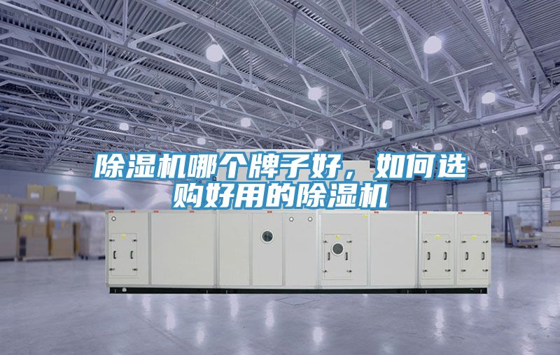 小黄片直播视频哪个牌子好，如何选购好用的小黄片直播视频