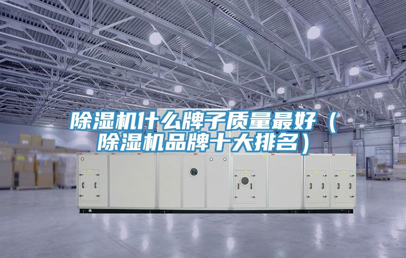 小黄片直播视频什么牌子质量最好（小黄片直播视频品牌十大排名）