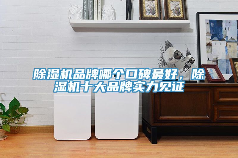 小黄片直播视频品牌哪个口碑最好，小黄片直播视频十大品牌实力见证