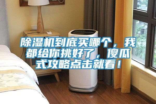 小黄片直播视频到底买哪个，我都给你挑好了，傻瓜式攻略点击就看！