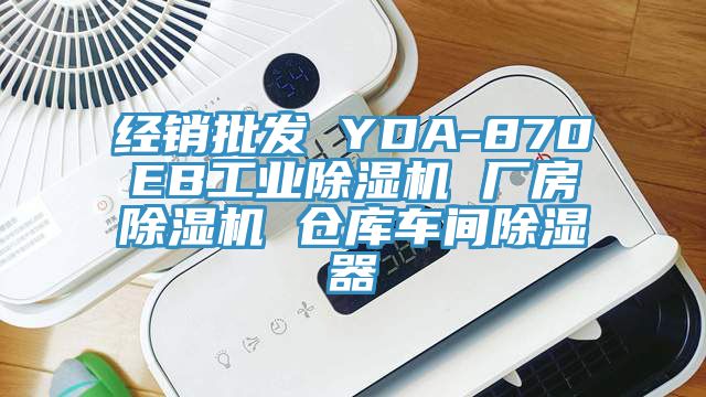 经销批发 YDA-870EB工业小黄片直播视频 厂房小黄片直播视频 仓库车间除湿器