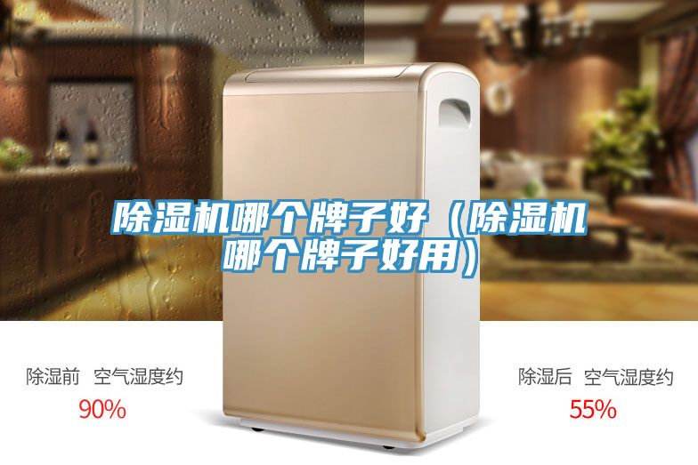 小黄片直播视频哪个牌子好（小黄片直播视频哪个牌子好用）