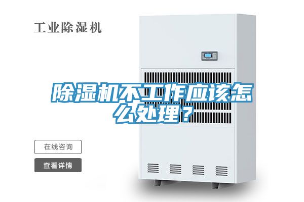 小黄片直播视频不工作应该怎么处理？