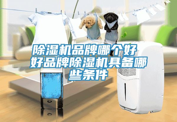 小黄片直播视频品牌哪个好 好品牌小黄片直播视频具备哪些条件