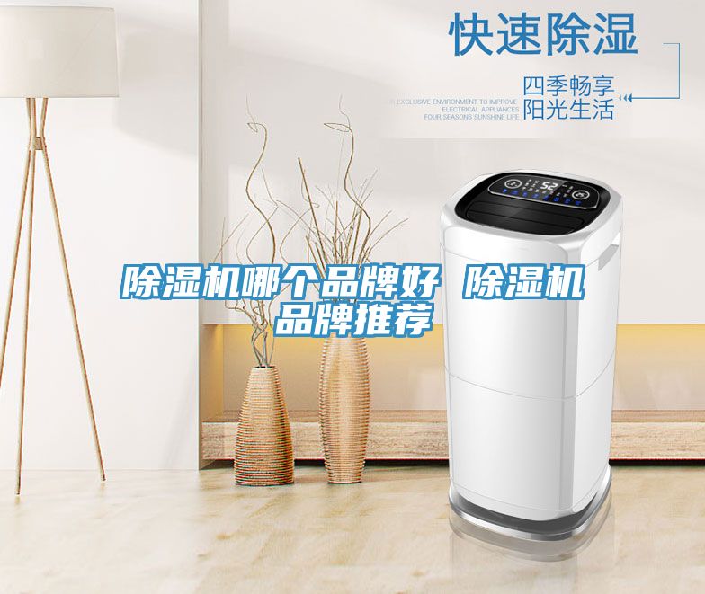 小黄片直播视频哪个品牌好 小黄片直播视频品牌推荐