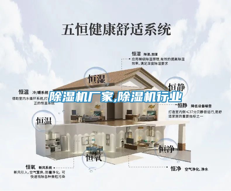 小黄片直播视频厂家,小黄片直播视频行业