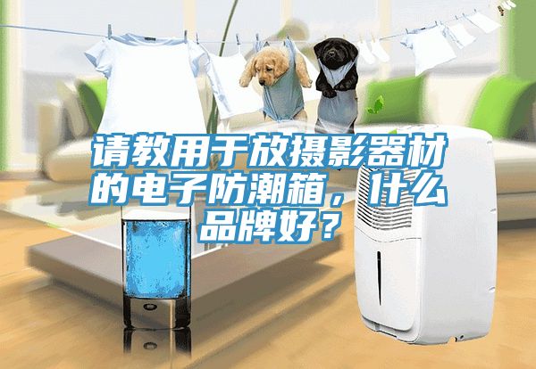 请教用于放摄影器材的电子防潮箱，什么品牌好？