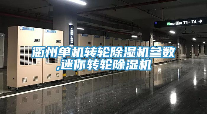 衢州单机转轮小黄片直播视频参数,迷你转轮小黄片直播视频