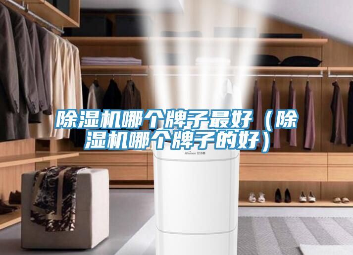 小黄片直播视频哪个牌子最好（小黄片直播视频哪个牌子的好）