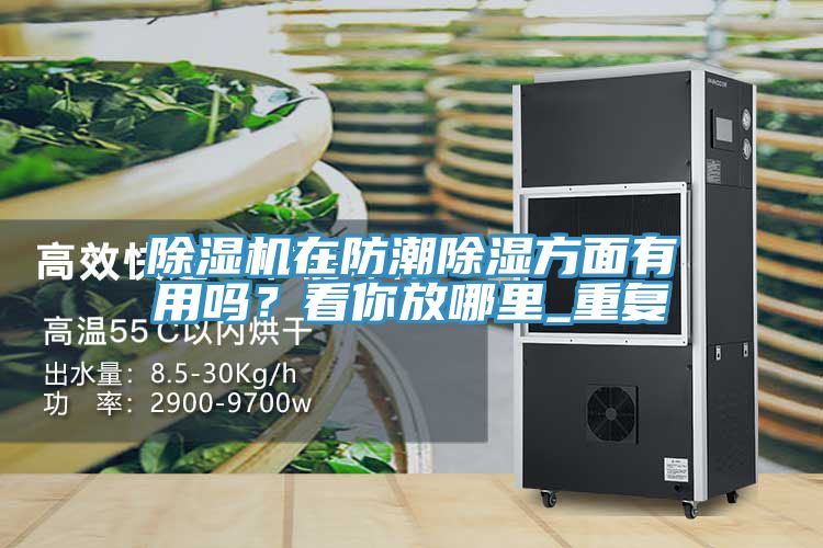 小黄片直播视频在防潮除湿方面有用吗？看你放哪里_重复